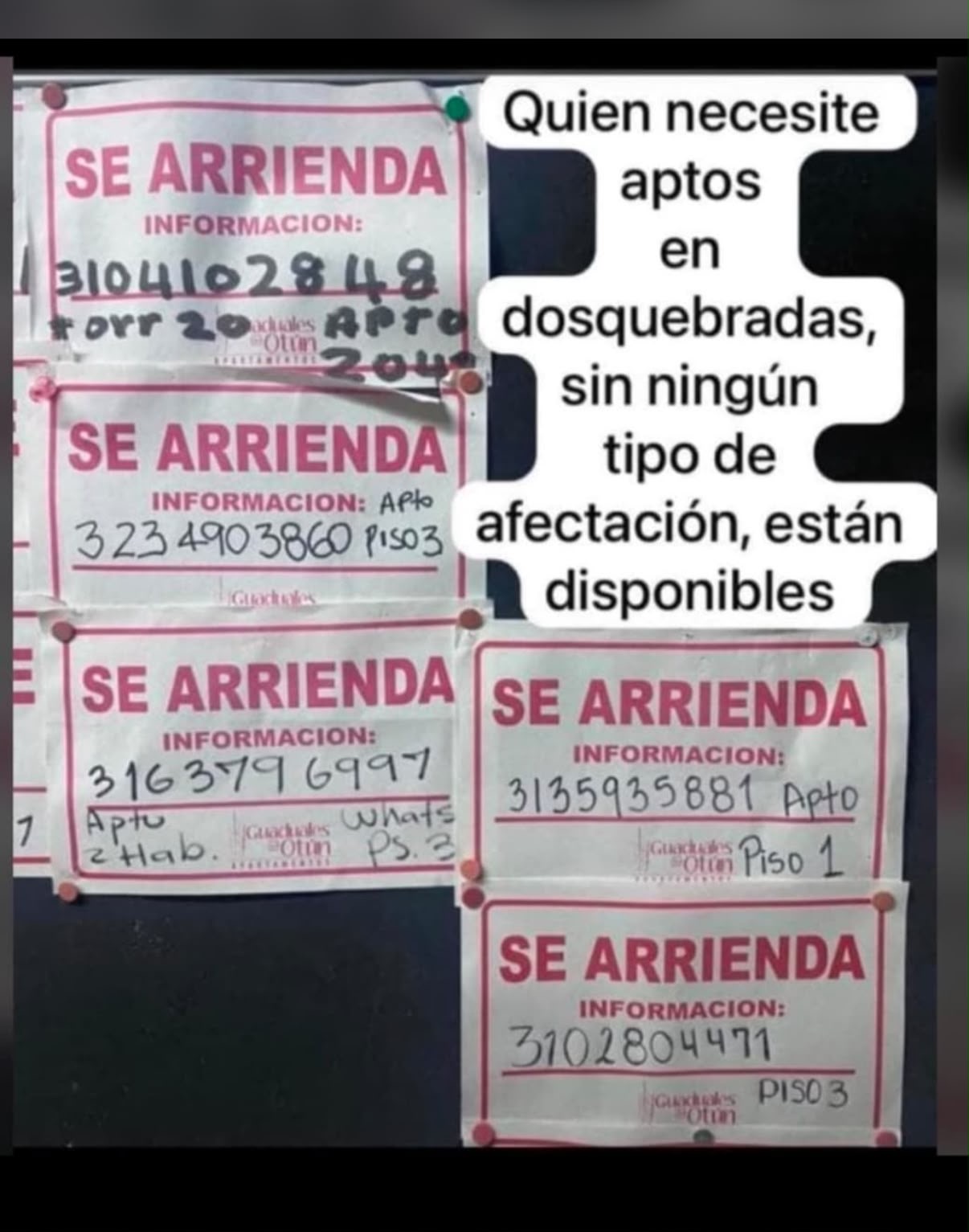 Foto de Inmueble en arriendo en Dosquebradas